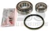 RENAU 5000389879 Wheel Bearing Kit